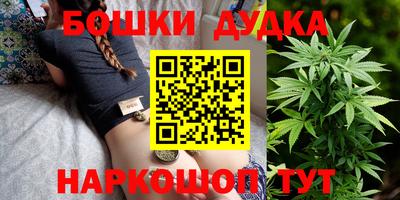 крисы Новодвинск