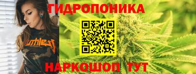 крисы Новодвинск