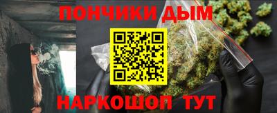 крисы Новодвинск