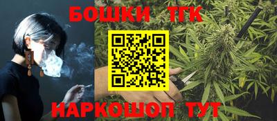 крисы Новодвинск