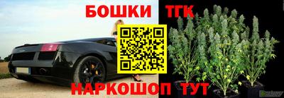 крисы Новодвинск