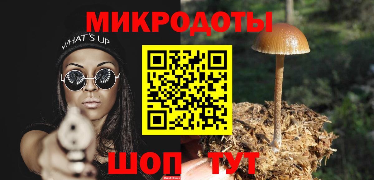 Псилоцибиновые грибы мицелий  Псилоцибиновые грибы мицелий  Сунжа  Вход с VPN 